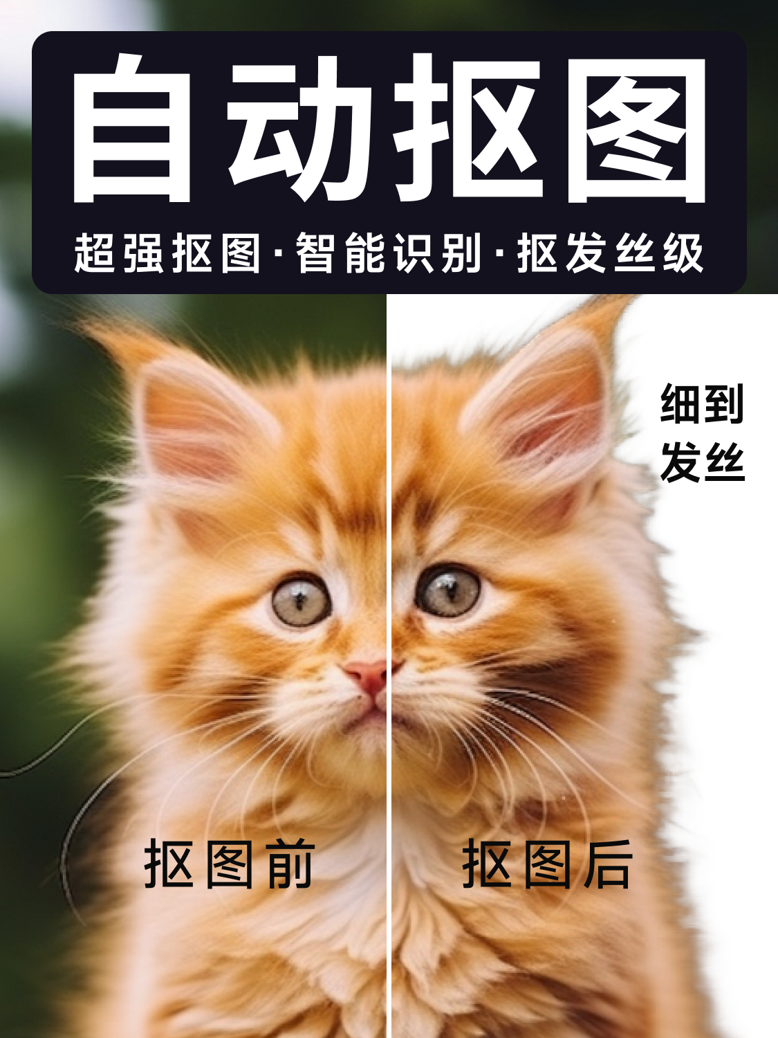 b72b41ce42997da346c300475ccff270960c0adf412ac6057751255deb396b9c.png